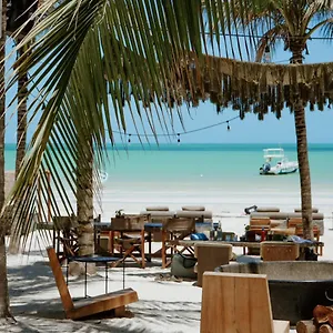 Hotell Casa Tortugas Petit &